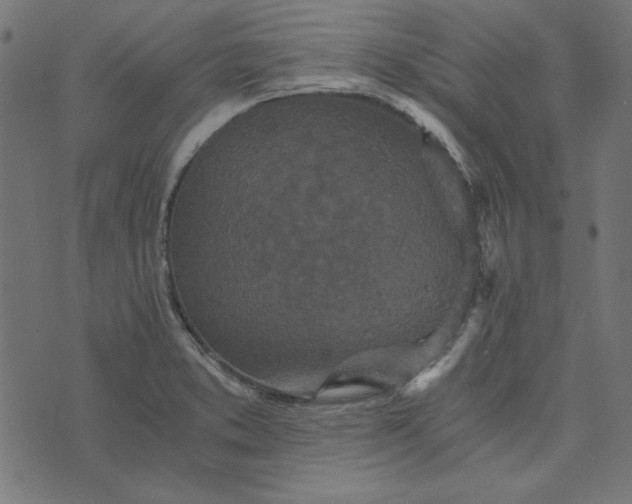 X0000073721373200608171152