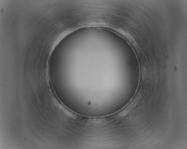 X0000073721374200608171152