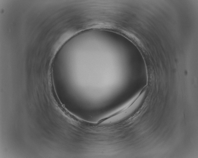 X0000073721375200608171152