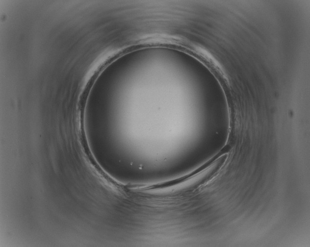 X0000073721376200608171152