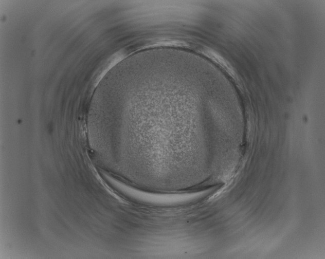 X0000073721377200608171152