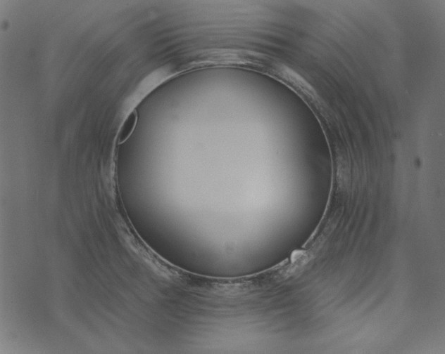 X0000073721378200608171152