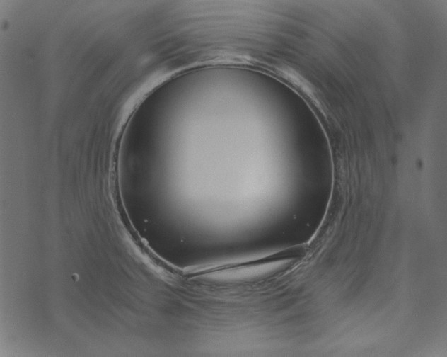 X0000073721379200608171152