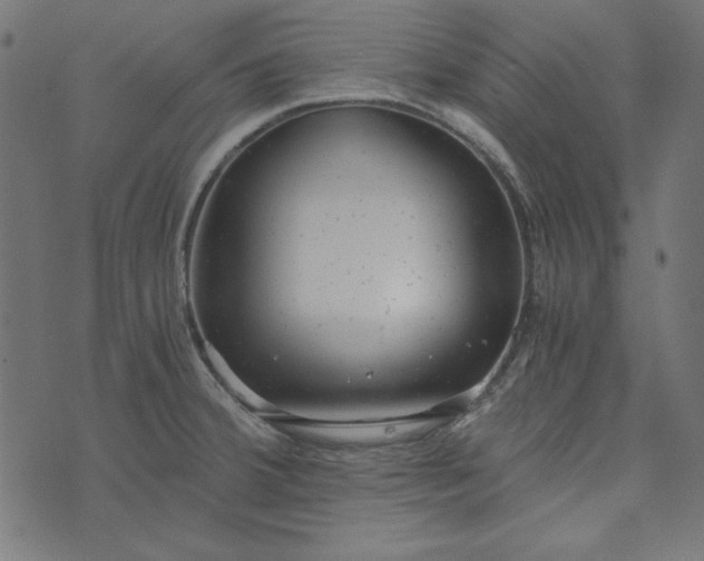 X0000073721380200608171152