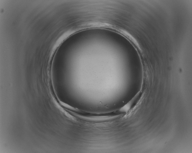 X0000073721381200608171152