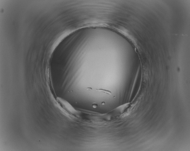 X0000073721383200608171152