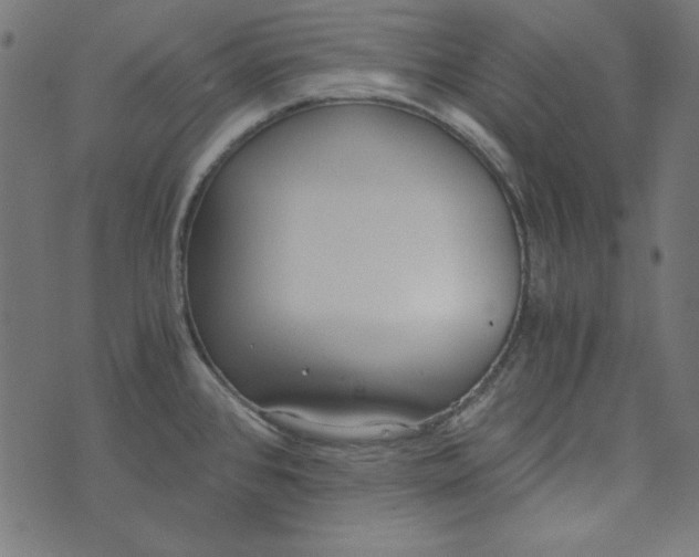 X0000073721384200608171152