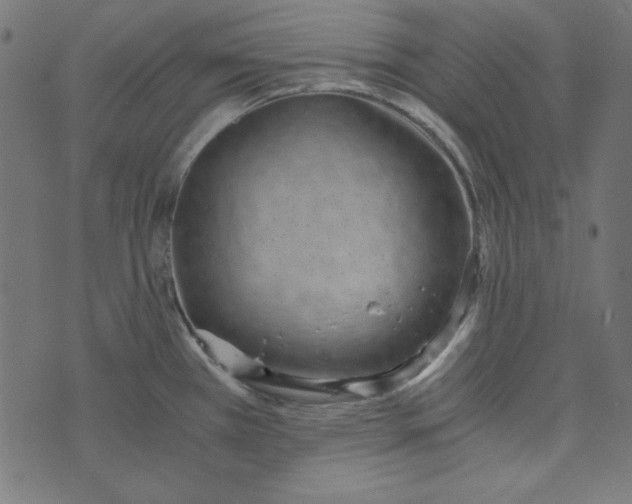 X0000073721385200608171152