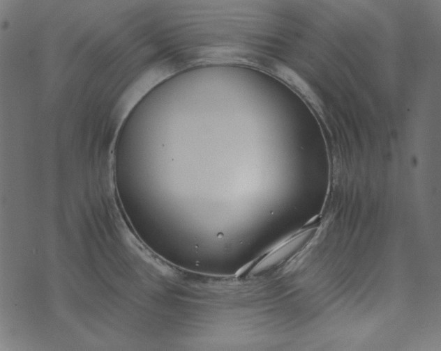 X0000073721386200608171152