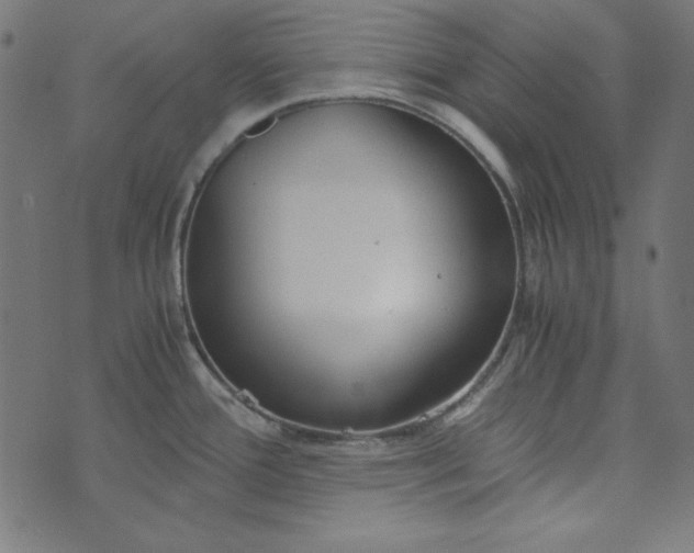 X0000073721388200608171152