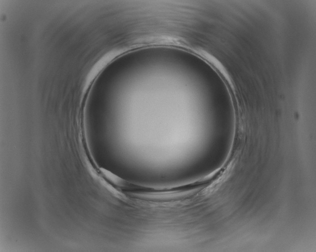 X0000073721389200608171152