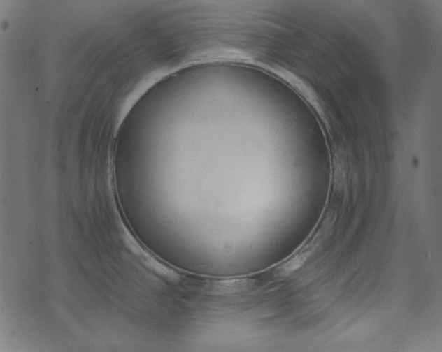 X0000073721390200608171152