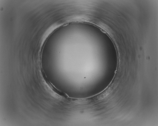 X0000073721392200608171152