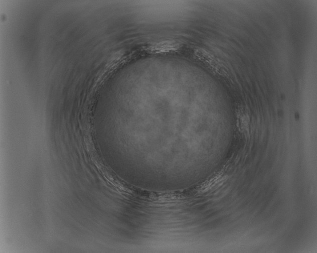 X0000073721393200608171151