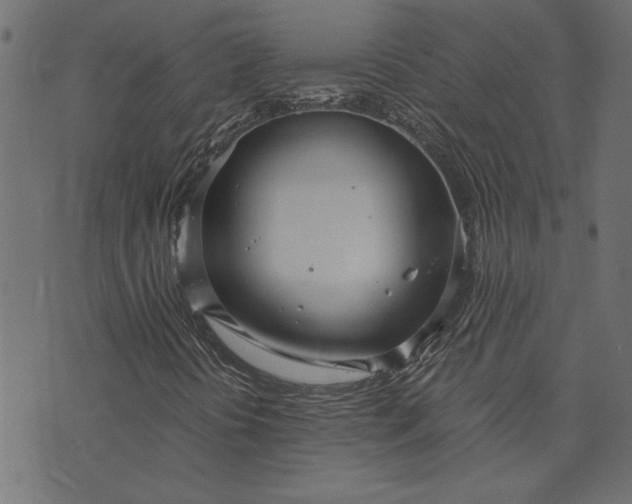 X0000073721394200608171151