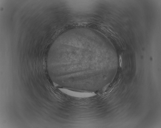 X0000073721395200608171151