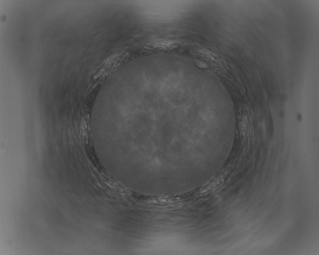 X0000073721397200608171151