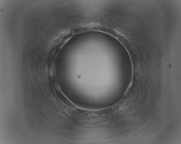 X0000073721398200608171151