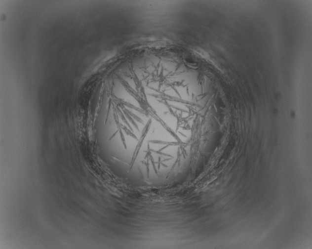 X0000073721399200608171151