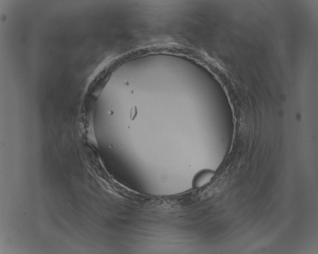 X0000073721400200608171151