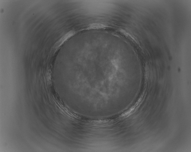 X0000073721401200608171151