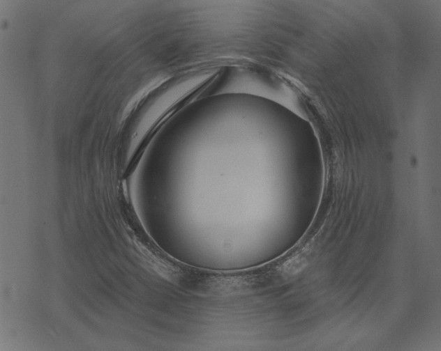 X0000073721402200608171151