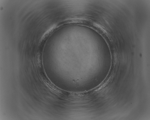 X0000073721403200608171151