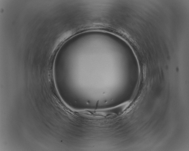 X0000073721405200608171152