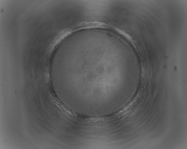 X0000073721407200608171152