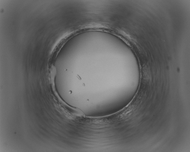 X0000073721408200608171152