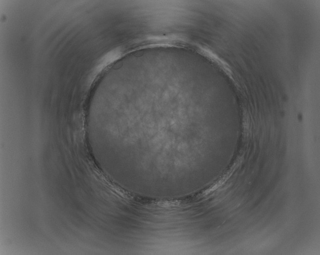 X0000073721411200608171152