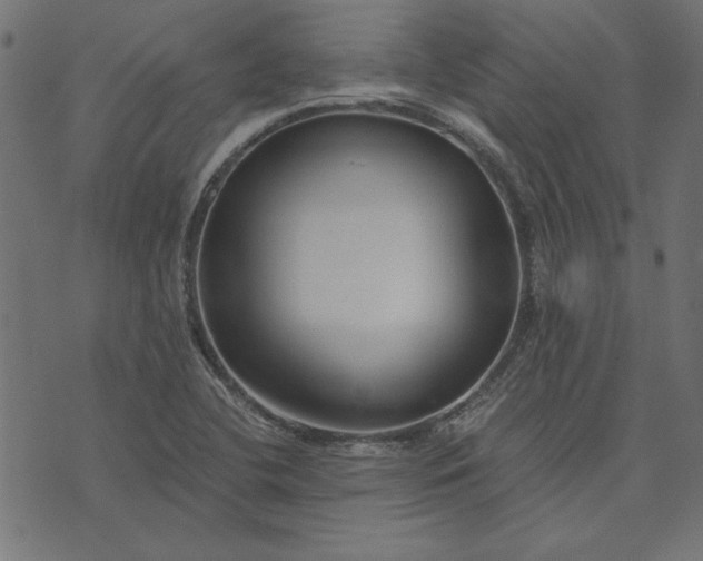 X0000073721412200608171152