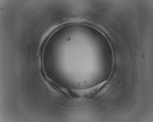 X0000073721414200608171152