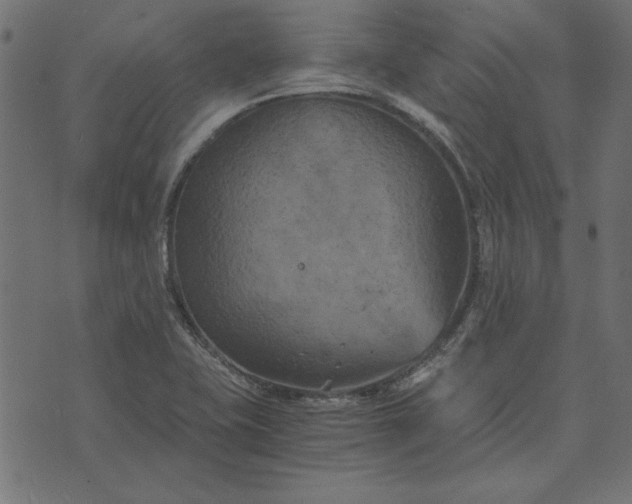 X0000073721415200608171152