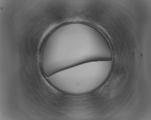 X0000073721416200608171152