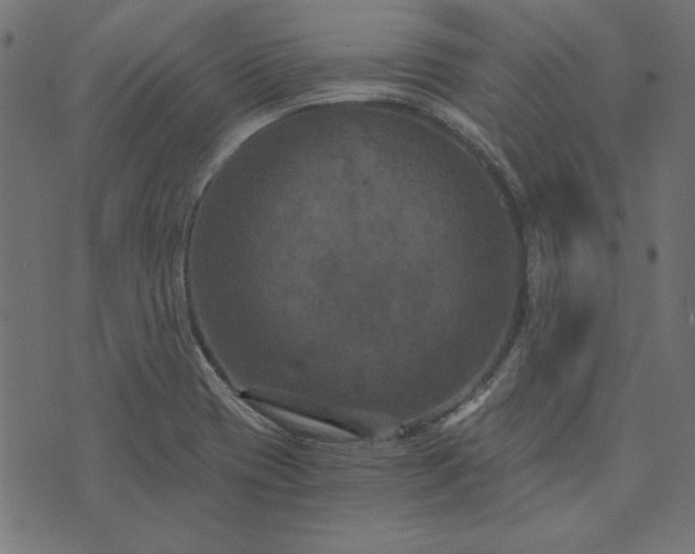 X0000073721417200608171152