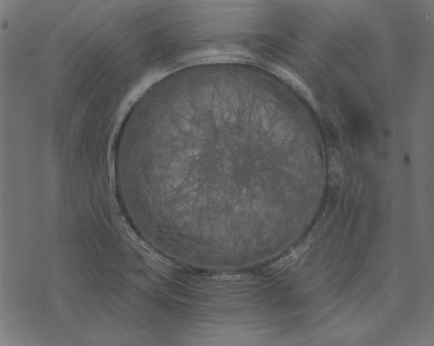 X0000073721419200608171152