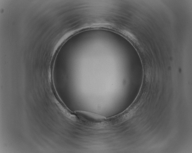 X0000073721420200608171152