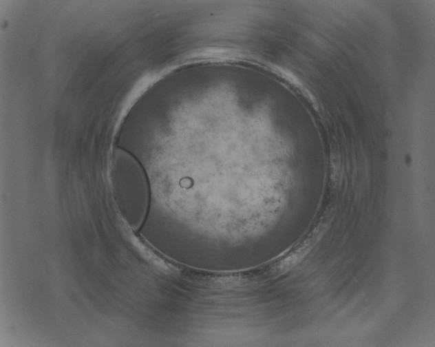 X0000073721421200608171152