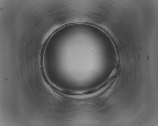 X0000073721422200608171152