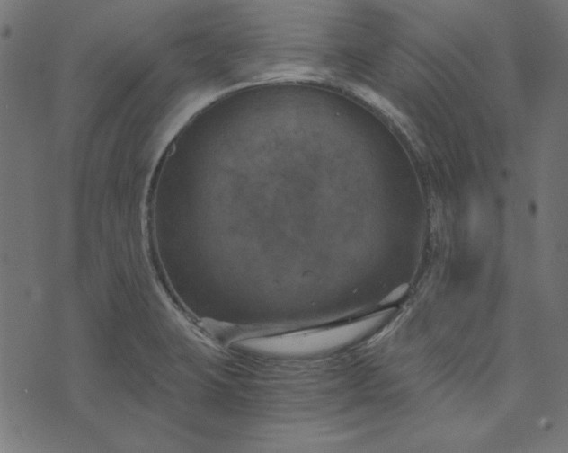 X0000073721423200608171152