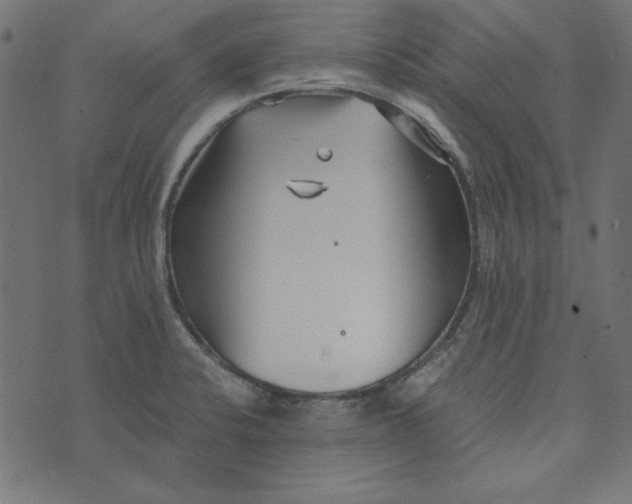 X0000073721424200608171152