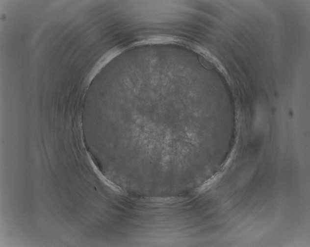 X0000073721425200608171152