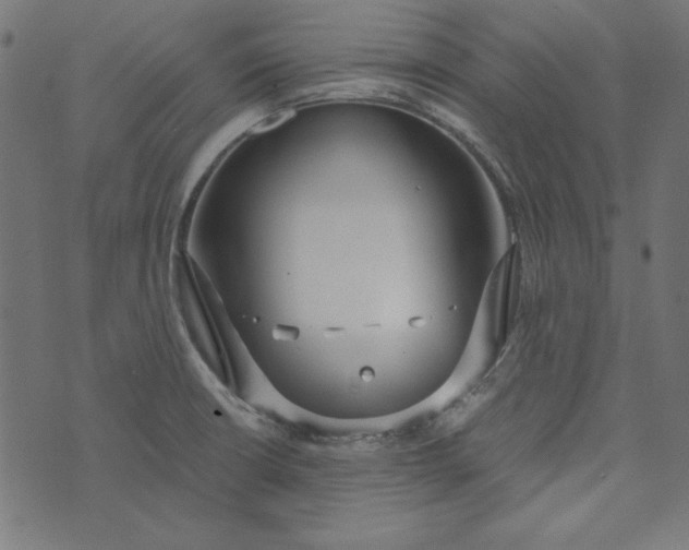 X0000073721426200608171152