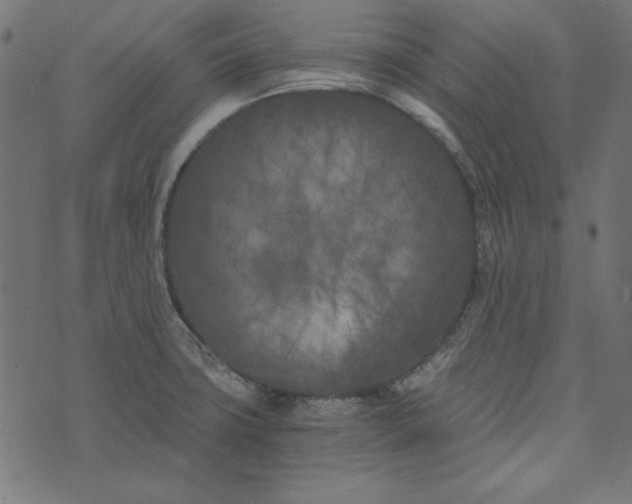 X0000073721427200608171152