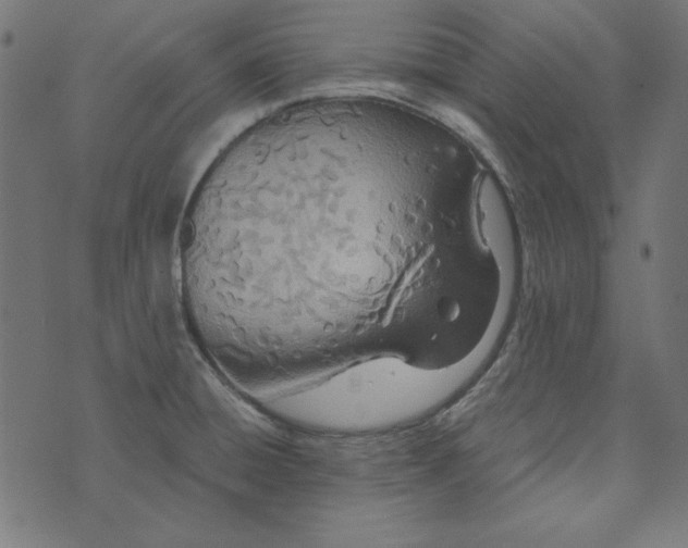 X0000073721428200608171152