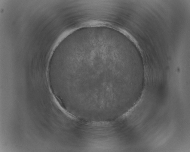 X0000073721429200608171152