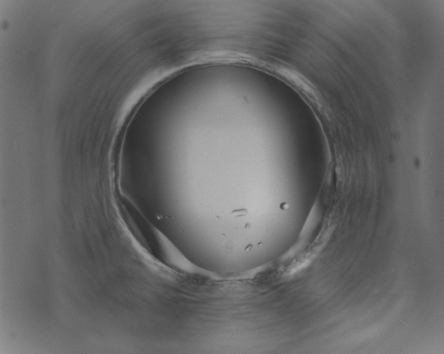 X0000073721430200608171152