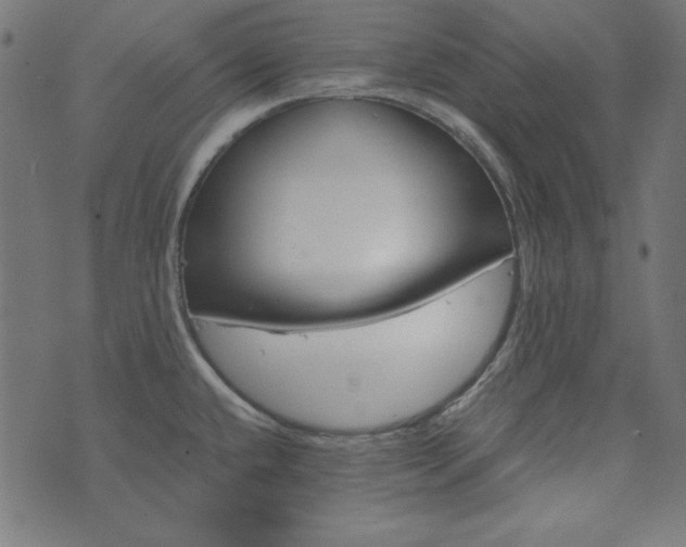 X0000073721432200608171152