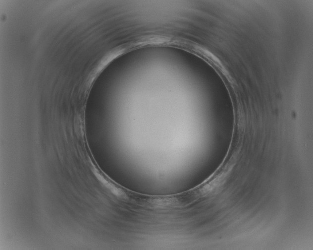 X0000073721433200608171152